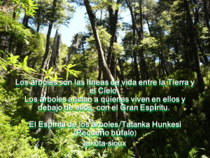 arboles lakotasioux