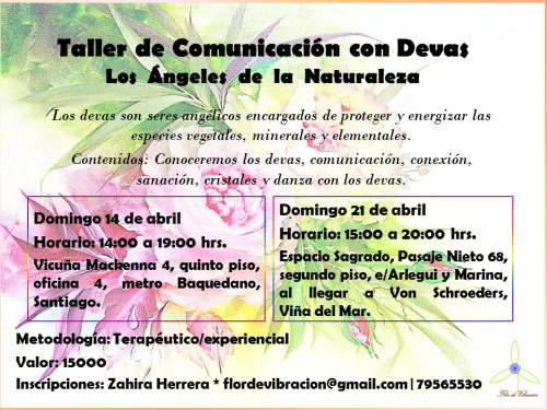 Taller de Comunicación con Devas Viña Stgo