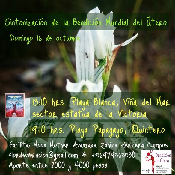 14516552_1399718953376345_6711439611718638932_n