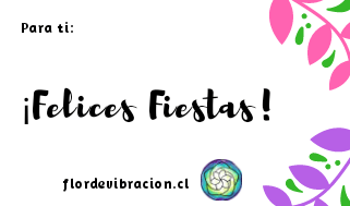 20181225_210532_0001